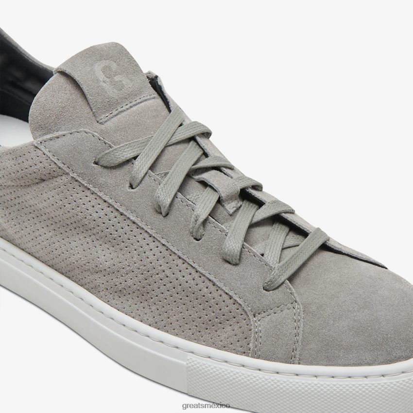 el Reino 8H082D28 GREATS gris zapatos